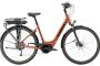 Trek Verve+1 - 